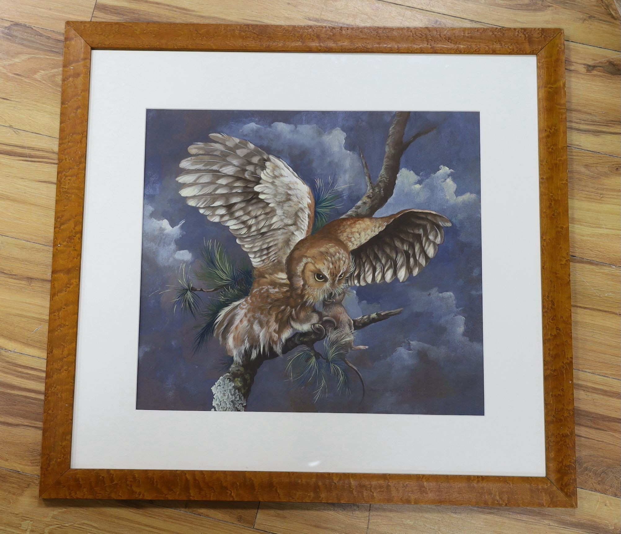 Marjorie Aman, watercolour and gouache, Perched owl, signed, 44 x 49cm